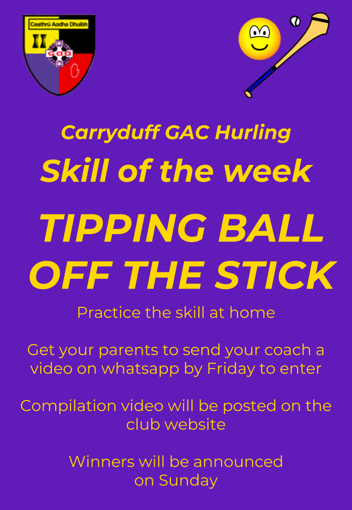Carryduff GAC hurling Skill of the week 4