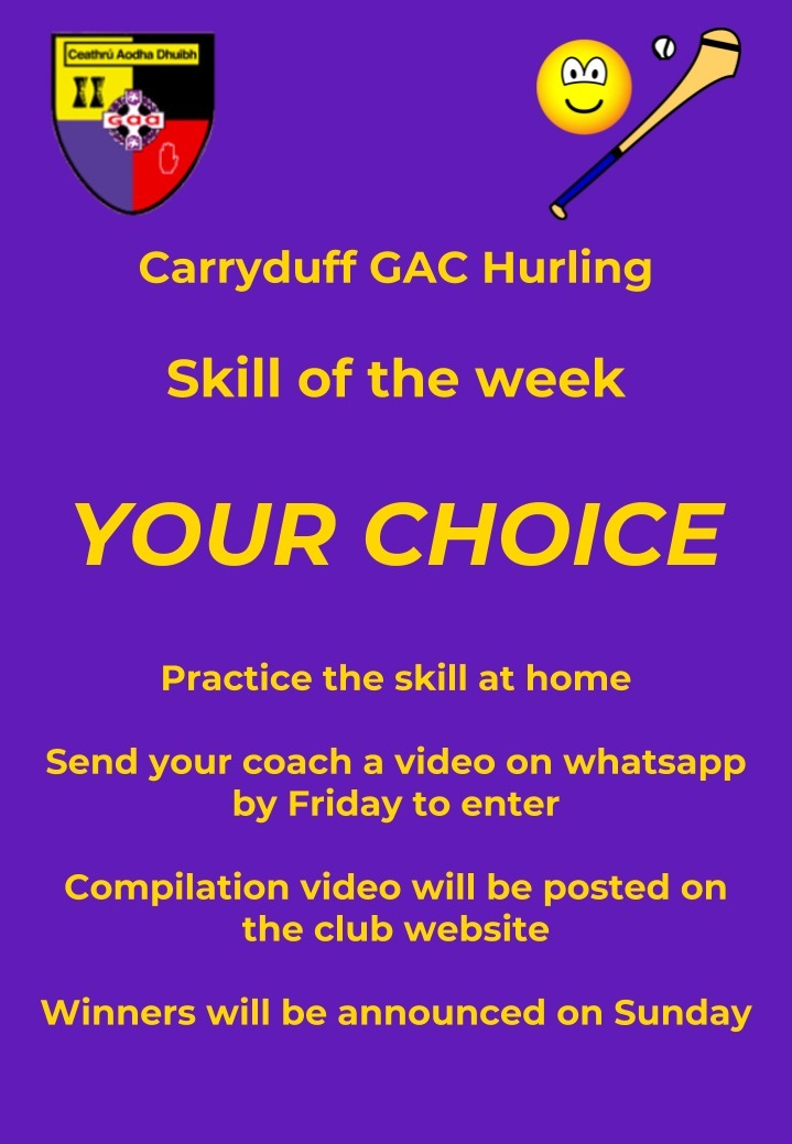 Carryduff GAC Hurling skill of the week
