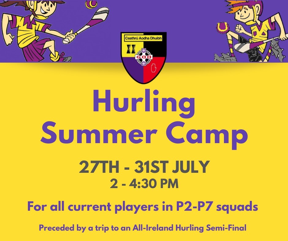Hurling Summer Camp – Save the date