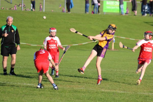 Join our Hurling Coaching Team