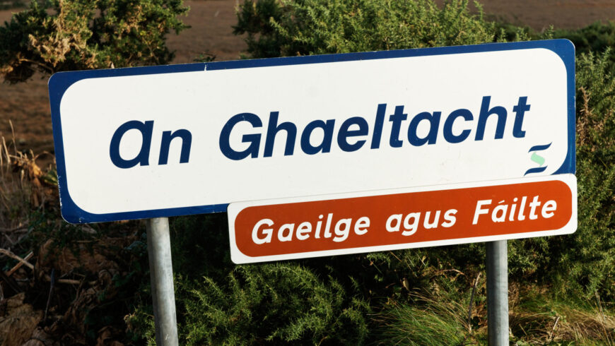 Down GAA Gaeltacht scholarship