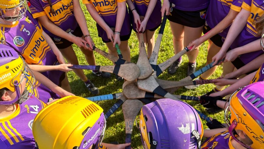 Feile Camogs shine in Portaferry