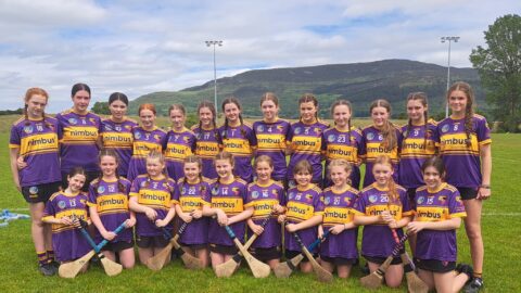 Report from the Regional Camogie Feile na nGael 2024
