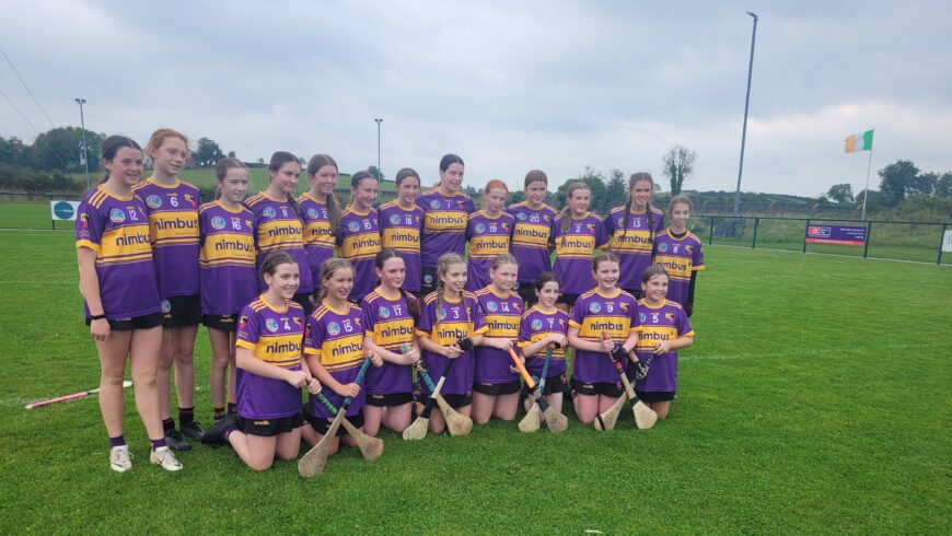 Down Camogie U14 Plate Final