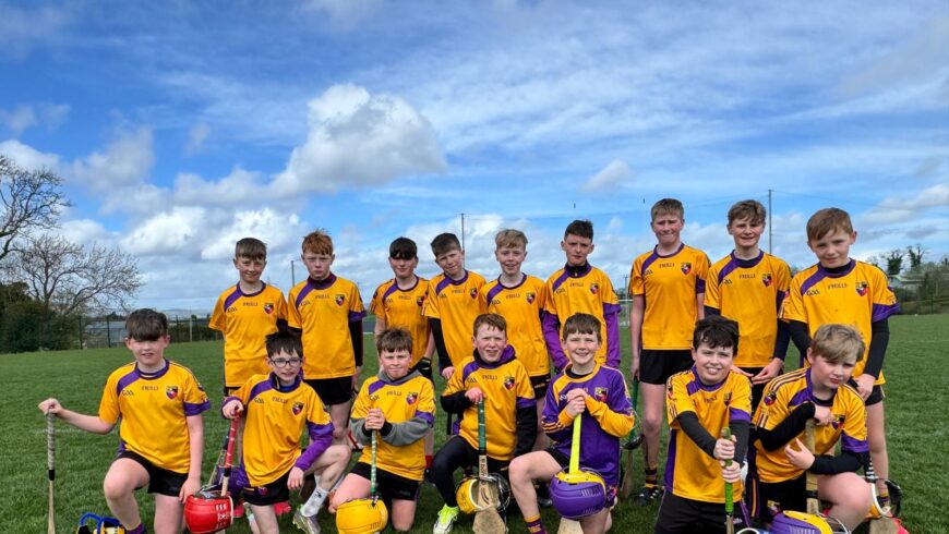 U12 Hurlers vs Liatroim